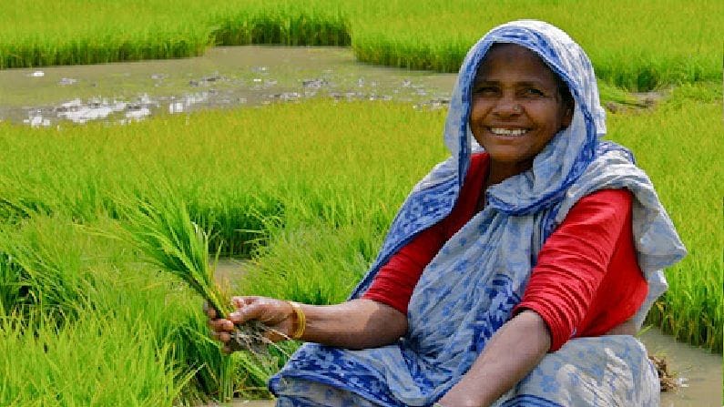 PM Kisan : ખેડૂતોના ખાતામાં 2000 રૂપિયા કેમ ટ્રાન્સફર નથી થઈ રહ્યા ? કૃષિ મંત્રીએ આપી સંપૂર્ણ માહિતી