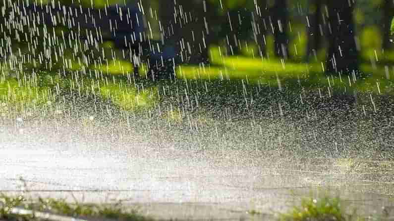 GUJARAT : વિરામ બાદ ફરી આવશે મેઘરાજાની સવારી, રાજ્યમાં આ તારીખથી પડશે વરસાદ, હવામાન વિભાગે કરી આગાહી
