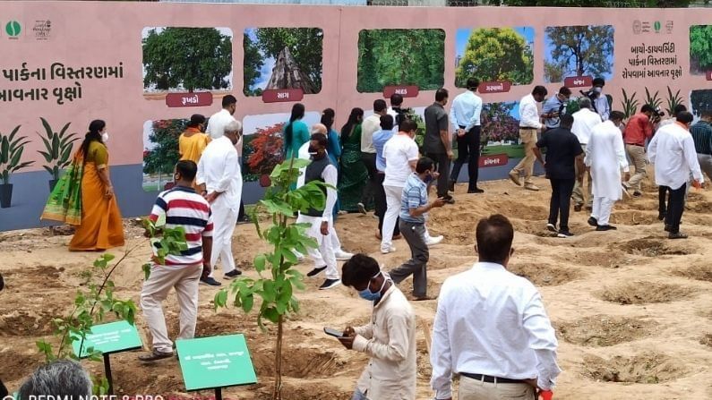 Ahmedabad :   સાબરમતી   રિવરફ્રન્ટ બાયો ડાયવર્સીટી પાર્કના વિસ્તરણની કામગીરી અંતર્ગત વૃક્ષારોપણમાં 75,000 થી વધુ વૃક્ષો વવાશે