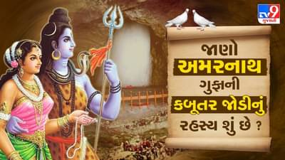 Bhakti: શું તમે જાણો છો અમરનાથ ગુફાની કબૂતર જોડીનું રહસ્ય શું છે ? વાંચો રોચક કથામાં