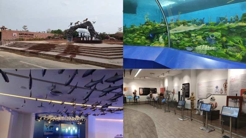 Construction of Nature Park, Aquatic and Robotics Gallery completed in Science City Ahmedabad