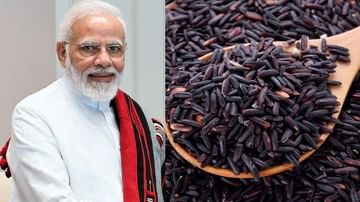 શું તમે Black Rice ના આ અમૂલ્ય ફાયદાઓ વિશે જાણો છો? PM મોદી પણ કરી ચૂક્યા  છે આ ચોખાનો ઉલ્લેખ | TV9 Gujarati