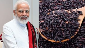 શું તમે Black Rice ના આ અમૂલ્ય ફાયદાઓ વિશે જાણો છો? PM મોદી પણ કરી ચૂક્યા છે આ ચોખાનો ઉલ્લેખ | TV9 Gujarati શું તમે Black Rice ના આ અમૂલ્ય ફાયદાઓ વિશે જાણો છો? PM મોદી પણ કરી ચૂક્યા છે આ ચોખાનો ઉલ્લેખ | TV9 Gujarati