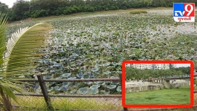 ના, આ કોઈ જંગલ નહીં, આ તો સુરતનું ગાર્ડન છે! મેઇન્ટેનન્સના અભાવે જાણો કેવી થઈ છે હાલત