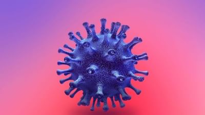 Gujarat Corona Update : રાજ્યમાં કોરોનાના 62  નવા કેસ, સતત બીજા દિવસે એક પણ દર્દીનું મૃત્યુ નહીં