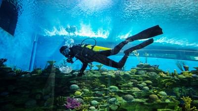 અમદાવાદ ખાતે ગુજરાત સાયન્સ સીટીમાં 266 કરોડના ખર્ચે નિર્માણ પામનારી એક્વેટિક ગેલેરી (Aquatics Gallery) દેશ અને રાજ્યના મુલાકાતીઓ માટે આકર્ષણનું કેન્દ્ર બની રહેશે. એક્વેટિક ગેલેરીમાં અંડરવોટર વોક-વે ટનલ પણ છે. 