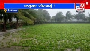 GIR SOMNATH : અનિયમિત વરસાદને કારણે ખેતીમાં ઋતુચક્ર ખોરવાતા ખેડૂતોમાં ચિંતા