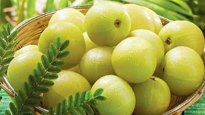 Amla Juice Benefits: આમળાનો જ્યુસ છે ખૂબ જ ફાયદાકારક, જાણીને અચંબિત થઈ જશો