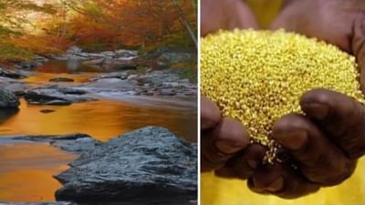 તમારે પણ જોઈએ છે સોનું, તો પહોંચી જાઓ ઝારખંડની આ નદીએ! જ્યાં પાણી સાથે વહે છે સોનું!