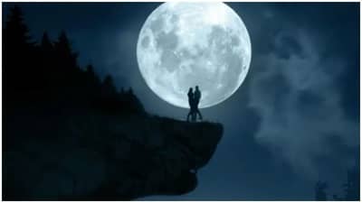 Bhediya Release Date : આ દિવસે થશે ક્રિતી સેનન અને વરુણ ધવનની ફિલ્મ રિલીઝ, હવે ભેડિયા બતાવશે તેનો આતંક