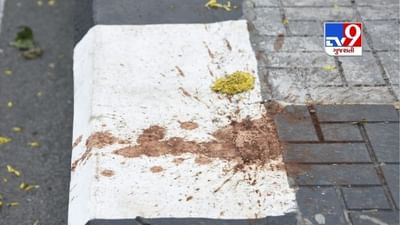 Pal Umra Bridge: સુરતમાં નવા ખુલ્લા મુકાયેલા બ્રિજ પર ક્યાંક સુરતીઓએ મારી પિચકારી તો ક્યાંક રહી ગઈ પાલિકાની ભૂલ!