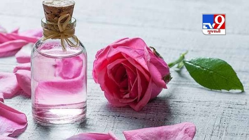 Benifits of Rose water: ત્વચા અને વાળની સંભાળ માટે ગુલાબજળના 10 આશ્ચર્યજનક ફાયદા