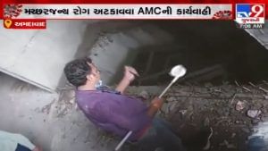 Ahmedabad: મચ્છરજન્ય રોગ અટકાવવા AMCની કાર્યવાહી, હેલ્થ મલેરિયા વિભાગ દ્વારા 7 ઝોનમાં કામગીરી