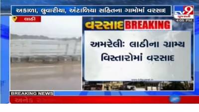 Amreli : વડીયા અને લાઠીના ગ્રામીણ વિસ્તારોમાં વરસાદ, ખેડૂતોમાં ખુશીની લહેર