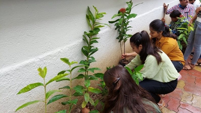 Surat: આ શાળાના રેન્કર વિદ્યાર્થીઓએ કર્યું A1 કામ, પરિણામના દિવસે કર્યું વૃક્ષારોપણ