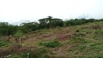 Banaskantha : લેન્ડ ગ્રેબિંગ એકટ અમલમાં આવતા ભૂ માફિયાઓ ભૂગર્ભમાં ઉતર્યા