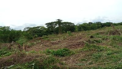 Banaskantha : લેન્ડ ગ્રેબિંગ એકટ અમલમાં આવતા ભૂ માફિયાઓ ભૂગર્ભમાં ઉતર્યા