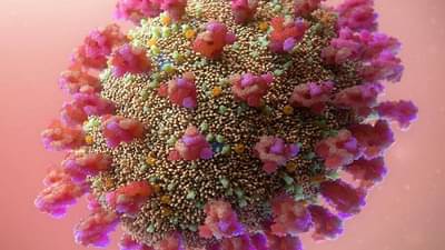 હાથના કર્યા હૈયે વાગ્યા, ડેલ્ટા વાયરસથી ગભરાયુ ચીન, અનેક શહેરમાં લાદી કડક પાબંદી