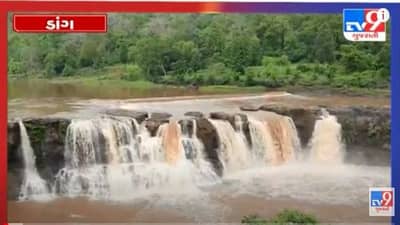 Dang : ગીરાધોધની પ્રકૃતિ સોળે કળાએ ખીલી ઉઠી, કોરોનાની ચિંતા વિના જ પ્રવાસીઓ ઉમટ્યા