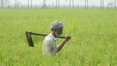 મોદી સરકાર ખેડૂતોનું દેવું માફ કરશે?  જાણો શું છે સરકારની વિચારણા