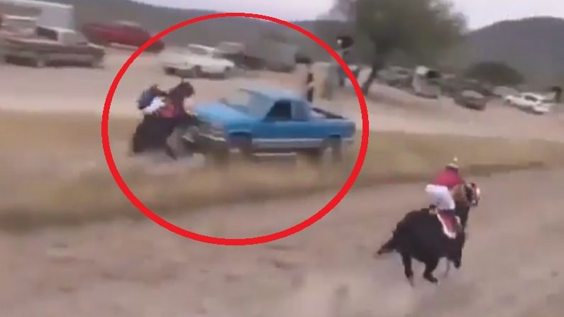Viral Video: રેસમાં દોડતા ઘોડાએ અચાનક ગુમાવ્યું સંતુલન, પછી જે થયું તે વીડિયોમાં જોઈને તમે પણ સ્તબ્ધ થઈ જશો
