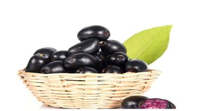 Health Tips : જાણો જાંબુ કઇ રીતે બની શકે છે સ્વાસ્થ્ય માટે હાનિકારક ?