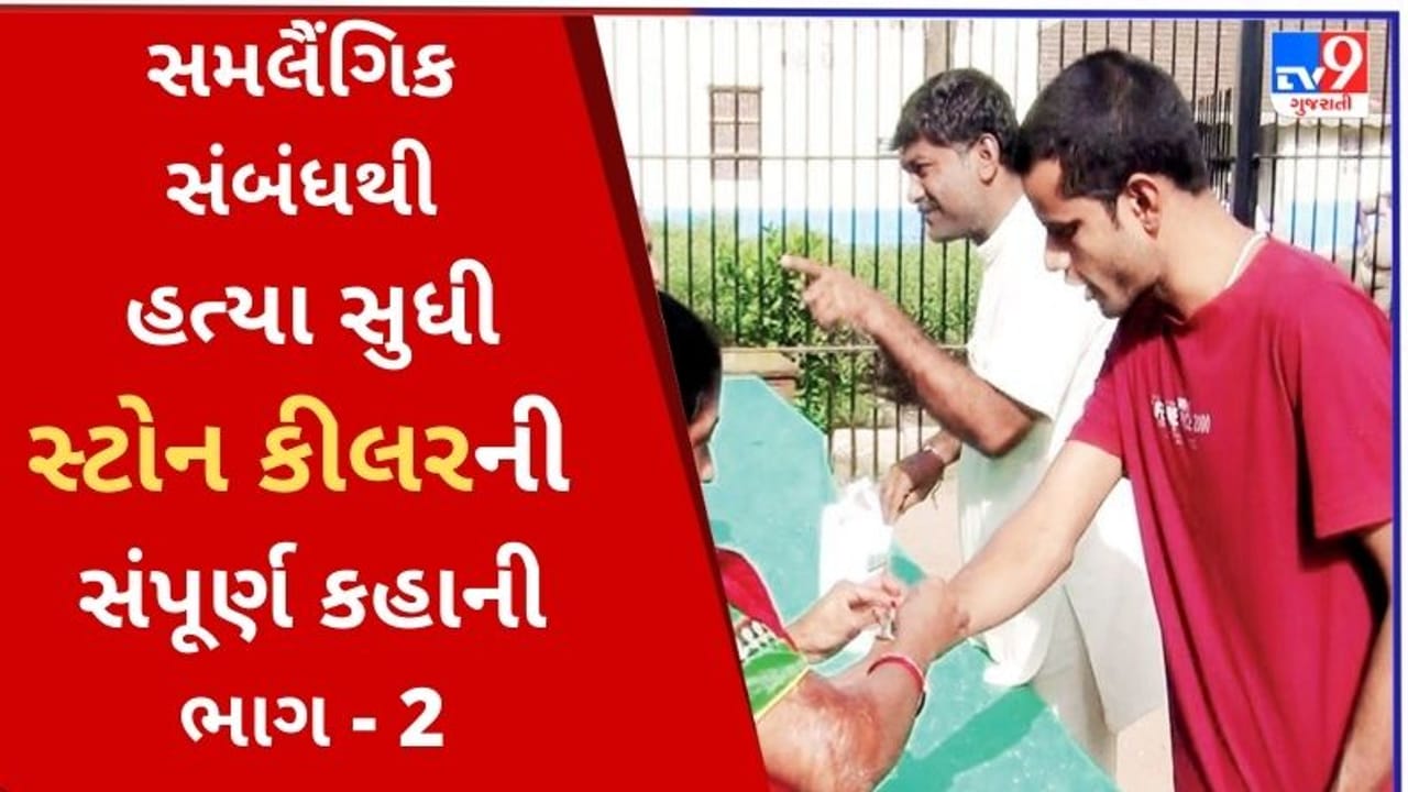 Stone Killer: સ્ટોન કિલરને પકડવા એક પોલીસ અધિકારી બન્યા હતા gay, કેવી રીતે પહેલી વાર કિલરનો ચહેરો આવ્યો સામે, જાણો આગળની કહાની