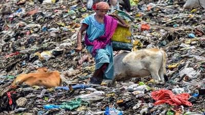 Surat : હવે કચરા વીણનારા લોકોને પણ આઈકાર્ડ અપાશે, 911 રેક પિકર્સ રજીસ્ટર્ડ