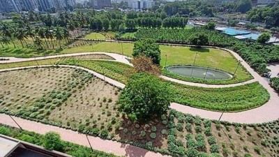 Surat: ઉદ્ઘાટન બાદ વિવાદમાં આવેલા 'મુન ગાર્ડન'ની જાણો ખાસિયતો