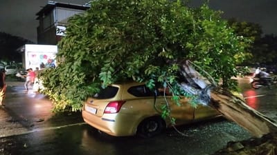 ઉભેલી કાર ઉપર ઝાડ પડે તો ઈન્સ્યોરન્સના રૂપિયા મળે કે ના મળે ?