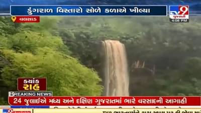 Valsad: વરસાદને પગલે ધરમપુર અને કપરાડા તાલુકાના ડુંગરાળ વિસ્તારો સોળે કળાએ ખીલી ઉઠયા