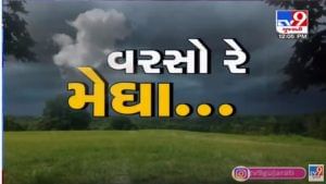 Gujarat Rain Live Update 2021: રાજ્યમાં જામ્યો વરસાદી માહોલ, 209 તાલુકાઓમાં મેઘમહેરથી ધરતીપૂત્રોમાં આનંદ, હજુ ભારે વરસાદની આગાહી