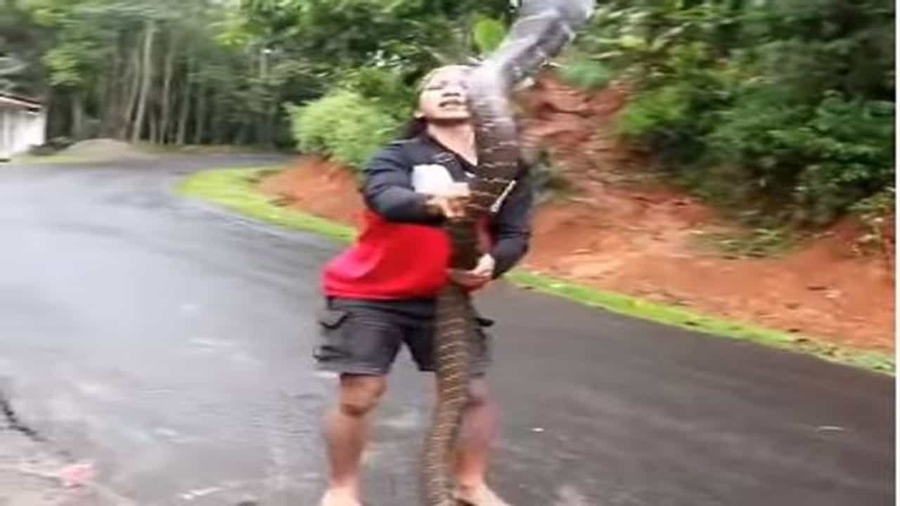 મહિલાએ હાથથી પકડ્યો વિશાળકાય સાપ, વિડીયો થઇ રહ્યો છે સોશિયલ મીડિયામાં વાયરલ