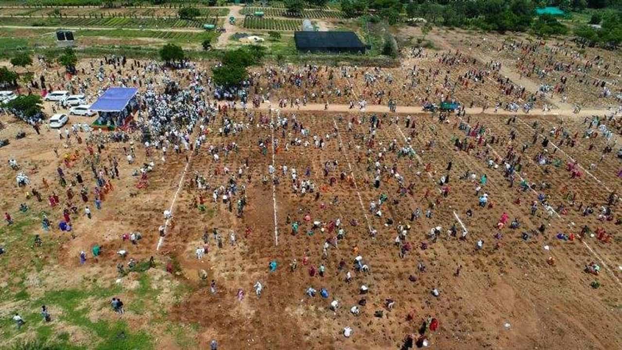 Telangana:  આદિલાબાદમાં માત્ર એક કલાકમાં વાવવામાં આવ્યાં આટલા લાખ વૃક્ષો કે બની ગયો વર્લ્ડ રેકોર્ડ!