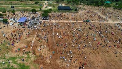 Telangana: આદિલાબાદમાં માત્ર એક કલાકમાં વાવવામાં આવ્યાં આટલા લાખ વૃક્ષો કે બની ગયો વર્લ્ડ રેકોર્ડ!