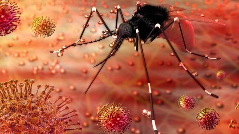 Zika Virus: ઝીંકા વાયરસના વધુ 13 કેસ પોઝિટીવ નોંધાતા, કેરળમાં જાહેર કરાયું એલર્ટ