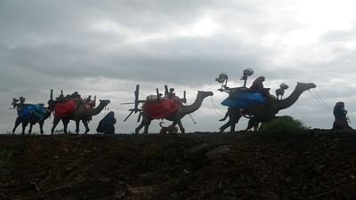 ASHADHI BIJ કચ્છીઓ ઉજવે છે નવું વર્ષ, જાણો શું છે ઉજવણીનો ઇતિહાસ