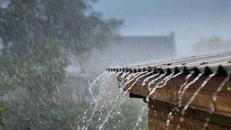 Gujarat RAIN : જામનગરના કાલાવાડ પંથક એક ઇંચ વરસાદ , સાબરકાંઠા- નર્મદા પંથકમાં પણ વરસાદી હેલી