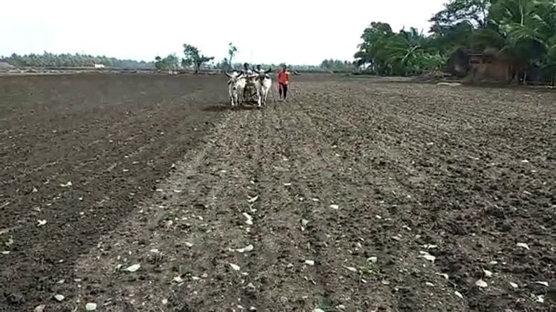 Mehsana : જિલ્લાના ખેડૂતોએ વાવણીના શ્રીગણેશ કર્યા, ખેડૂતોએ 74,000 હેક્ટર જમીનમાં વાવેતર કર્યું
