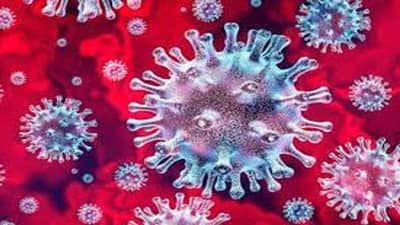 Gujarat : કોરોનાના વળતા પાણી, વૅક્સીનના બંને ડોઝ લેનારાની સંખ્યા 1 કરોડને પાર