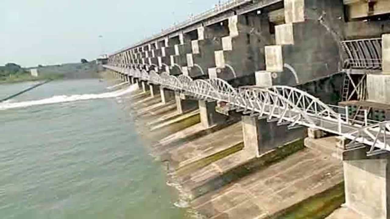 Surendranagar : સિંચાઇનું પાણી આપવા ખેડૂતોની માગ, જિલ્લામાં મોટાભાગના ડેમમાં પાણીની સ્થિતિ ચિંતાજનક