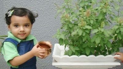 ભગવાન વિષ્ણુની પૂજા તુલસી વગર અધૂરી છે, ઘરમાં તુલસી રાખવાથી આવે છે સુખ અને સમૃદ્ધિ