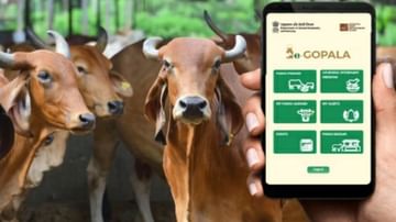 e-Gopala એપથી ખેડૂતો કરશે પ્રગતિ, જાણો તેનો ઉપયોગ કેવી રીતે કરશો અને તેના ફાયદાઓ