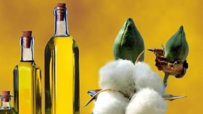 AHMEDABAD :  કપાસિયા તેલના ભાવ ઓલટાઇમ હાઇ, સિંગતેલ કરતા પણ કપાસિયા તેલ મોંઘુ