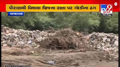 AHMEDABAD : AMCનું સોલિડ વેસ્ટ ડિપાર્ટમેન્ટ શહેરને કરી રહ્યું છે ગંદુ , પીરાણાથી વિશાલા બ્રિજના રસ્તા પર ગંદકીના ઢગલા