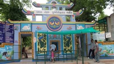 Ahmedabad ના કાંકરિયા પ્રાણી સંગ્રહાલયમાં પ્રાણીઓના અંતિમ સંસ્કાર માટે બનશે સીએનજી ભઠ્ઠી