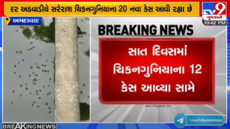 અમદાવાદ શહેરમાં મચ્છરજન્ય રોગચાળો વકર્યો, સંખ્યાબંધ કેસની સામે સોલા સિવિલમાં માત્ર 2 કેસ બારી