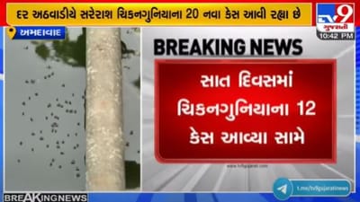 અમદાવાદ શહેરમાં મચ્છરજન્ય રોગચાળો વકર્યો, સંખ્યાબંધ કેસની સામે સોલા સિવિલમાં માત્ર 2 કેસ બારી અમદાવાદ શહેરમાં મચ્છરજન્ય રોગચાળો વકર્યો, સંખ્યાબંધ કેસની સામે સોલા સિવિલમાં માત્ર 2 કેસ બારી