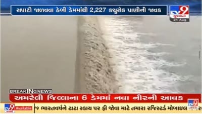 Amreli જિલ્લાના છ ડેમમાં પાણીની આવક વઘતા દરવાજા ખોલાયા Amreli જિલ્લાના છ ડેમમાં પાણીની આવક વઘતા દરવાજા ખોલાયા