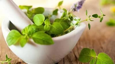 health tips : આયુર્વેદિક જડીબુટ્ટીઓ તણાવ અને ચિંતા દૂર કરવામાં રાહત આપે છે, જાણો ઉપયોગ કેવી રીતે કરવો